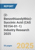 (2-Benzothiazolylthio)-Succinic Acid (CAS 95154-01-1) Industry Research 2025: Global and Regional Market Trends 2019-2024 and Forecast to 2029- Product Image