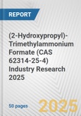 (2-Hydroxypropyl)-Trimethylammonium Formate (CAS 62314-25-4) Industry Research 2025: Global and Regional Market Trends 2019-2024 and Forecast to 2029- Product Image