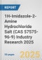 1H-Imidazole-2-Amine Hydrochloride Salt (CAS 57575-96-9) Industry Research 2025: Global and Regional Market Trends 2019-2024 and Forecast to 2029 - Product Thumbnail Image