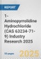 1-Aminopyrrolidine Hydrochloride (CAS 63234-71-9) Industry Research 2025: Global and Regional Market Trends 2019-2024 and Forecast to 2029 - Product Image