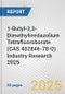 1-Butyl-2,3-Dimethylimidazolium Tetrafluoroborate (CAS 402846-78-0) Industry Research 2025: Global and Regional Market Trends 2019-2024 and Forecast to 2029 - Product Image