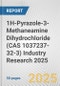 1H-Pyrazole-3-Methaneamine Dihydrochloride (CAS 1037237-32-3) Industry Research 2025: Global and Regional Market Trends 2019-2024 and Forecast to 2029 - Product Thumbnail Image
