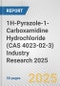 1H-Pyrazole-1-Carboxamidine Hydrochloride (CAS 4023-02-3) Industry Research 2025: Global and Regional Market Trends 2019-2024 and Forecast to 2029 - Product Image