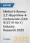 Methyl 6-Bromo-2,2'-Bipyridine-4-Carboxylate (CAS 913719-90-1) Industry Research 2025: Global and Regional Market Trends 2019-2024 and Forecast to 2029 - Product Image
