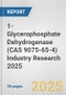 1-Glycerophosphate Dehydrogenase (CAS 9075-65-4) Industry Research 2025: Global and Regional Market Trends 2019-2024 and Forecast to 2029 - Product Thumbnail Image