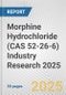 Morphine Hydrochloride (CAS 52-26-6) Industry Research 2025: Global and Regional Market Trends 2019-2024 and Forecast to 2029 - Product Thumbnail Image