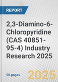 2,3-Diamino-6-Chloropyridine (CAS 40851-95-4) Industry Research 2025: Global and Regional Market Trends 2019-2024 and Forecast to 2029- Product Image