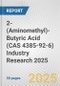 2-(Aminomethyl)-Butyric Acid (CAS 4385-92-6) Industry Research 2025: Global and Regional Market Trends 2019-2024 and Forecast to 2029 - Product Thumbnail Image