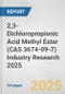 2,3-Dichloropropionic Acid Methyl Ester (CAS 3674-09-7) Industry Research 2025: Global and Regional Market Trends 2019-2024 and Forecast to 2029 - Product Image