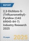 2,3-Dichloro-5-(Trifluoromethyl)-Pyridine (CAS 69045-84-7) Industry Research 2025: Global and Regional Market Trends 2019-2024 and Forecast to 2029 - Product Thumbnail Image