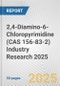 2,4-Diamino-6-Chloropyrimidine (CAS 156-83-2) Industry Research 2025: Global and Regional Market Trends 2019-2024 and Forecast to 2029 - Product Thumbnail Image