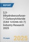 2,3-Dihydrobenzofuran-7-Carbonylchloride (CAS 123266-63-7) Industry Research 2025: Global and Regional Market Trends 2019-2024 and Forecast to 2029 - Product Image