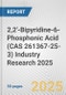 2,2'-Bipyridine-6-Phosphonic Acid (CAS 261367-25-3) Industry Research 2025: Global and Regional Market Trends 2019-2024 and Forecast to 2029 - Product Thumbnail Image