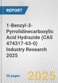 1-Benzyl-3-Pyrrolidinecarboxylic Acid Hydrazide (CAS 474317-63-0) Industry Research 2025: Global and Regional Market Trends 2019-2024 and Forecast to 2029- Product Image