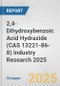 2,4-Dihydroxybenzoic Acid Hydrazide (CAS 13221-86-8) Industry Research 2025: Global and Regional Market Trends 2019-2024 and Forecast to 2029 - Product Image