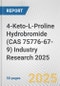 4-Keto-L-Proline Hydrobromide (CAS 75776-67-9) Industry Research 2025: Global and Regional Market Trends 2019-2024 and Forecast to 2029 - Product Thumbnail Image