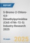 5-Bromo-2-Chloro-4,6-Dimethylpyrimidine (CAS 4786-72-5) Industry Research 2025: Global and Regional Market Trends 2019-2024 and Forecast to 2029 - Product Image