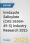 Imidazole Salicylate (CAS 36364-49-5) Industry Research 2025: Global and Regional Market Trends 2019-2024 and Forecast to 2029 - Product Image