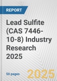 Lead Sulfite (CAS 7446-10-8) Industry Research 2025: Global and Regional Market Trends 2019-2024 and Forecast to 2029- Product Image