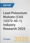 Lead Potassium Niobate (CAS 12372-45-1) Industry Research 2025: Global and Regional Market Trends 2019-2024 and Forecast to 2029 - Product Image
