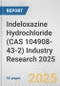Indeloxazine Hydrochloride (CAS 104908-43-2) Industry Research 2025: Global and Regional Market Trends 2019-2024 and Forecast to 2029 - Product Image