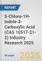 5-Chloro-1H-Indole-2-Carboxylic Acid (CAS 10517-21-2) Industry Research 2025: Global and Regional Market Trends 2019-2024 and Forecast to 2029 - Product Thumbnail Image