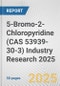5-Bromo-2-Chloropyridine (CAS 53939-30-3) Industry Research 2025: Global and Regional Market Trends 2019-2024 and Forecast to 2029 - Product Image