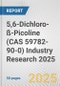 5,6-Dichloro-ß-Picoline (CAS 59782-90-0) Industry Research 2025: Global and Regional Market Trends 2019-2024 and Forecast to 2029 - Product Image