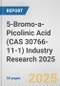5-Bromo-a-Picolinic Acid (CAS 30766-11-1) Industry Research 2025: Global and Regional Market Trends 2019-2024 and Forecast to 2029 - Product Thumbnail Image