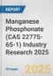 Manganese Phosphonate (CAS 22775-65-1) Industry Research 2025: Global and Regional Market Trends 2019-2024 and Forecast to 2029 - Product Image