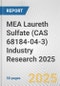 MEA Laureth Sulfate (CAS 68184-04-3) Industry Research 2025: Global and Regional Market Trends 2019-2024 and Forecast to 2029 - Product Thumbnail Image