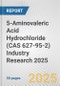 5-Aminovaleric Acid Hydrochloride (CAS 627-95-2) Industry Research 2025: Global and Regional Market Trends 2019-2024 and Forecast to 2029 - Product Thumbnail Image