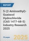 5-(2-Aminoethyl)-Guaiacol Hydrochloride (CAS 1477-68-5) Industry Research 2025: Global and Regional Market Trends 2019-2024 and Forecast to 2029 - Product Image