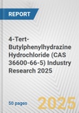 4-Tert-Butylphenylhydrazine Hydrochloride (CAS 36600-66-5) Industry Research 2025: Global and Regional Market Trends 2019-2024 and Forecast to 2029- Product Image