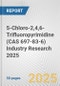 5-Chloro-2,4,6-Trifluoropyrimidine (CAS 697-83-6) Industry Research 2025: Global and Regional Market Trends 2019-2024 and Forecast to 2029 - Product Image