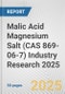 Malic Acid Magnesium Salt (CAS 869-06-7) Industry Research 2025: Global and Regional Market Trends 2019-2024 and Forecast to 2029 - Product Thumbnail Image