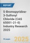 5-Bromopyridine-3-Sulfonyl Chloride (CAS 65001-21-0) Industry Research 2025: Global and Regional Market Trends 2019-2024 and Forecast to 2029 - Product Thumbnail Image