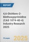 4,6-Dichloro-2-Methoxypyrimidine (CAS 1074-40-4) Industry Research 2025: Global and Regional Market Trends 2019-2024 and Forecast to 2029 - Product Image