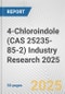 4-Chloroindole (CAS 25235-85-2) Industry Research 2025: Global and Regional Market Trends 2019-2024 and Forecast to 2029 - Product Image