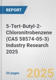 5-Tert-Butyl-2-Chloronitrobenzene (CAS 58574-05-3) Industry Research 2025: Global and Regional Market Trends 2019-2024 and Forecast to 2029- Product Image
