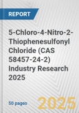 5-Chloro-4-Nitro-2-Thiophenesulfonyl Chloride (CAS 58457-24-2) Industry Research 2025: Global and Regional Market Trends 2019-2024 and Forecast to 2029- Product Image