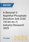 6-Benzoyl-2-Naphthyl Phosphate Disodium Salt (CAS 74144-43-7) Industry Research 2025: Global and Regional Market Trends 2019-2024 and Forecast to 2029 - Product Thumbnail Image