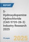 5-Hydroxydopamine Hydrochloride (CAS 5720-26-3) Industry Research 2025: Global and Regional Market Trends 2019-2024 and Forecast to 2029 - Product Thumbnail Image