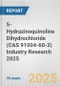 5-Hydrazinoquinoline Dihydrochloride (CAS 91004-60-3) Industry Research 2025: Global and Regional Market Trends 2019-2024 and Forecast to 2029 - Product Image