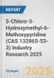 5-Chloro-3-Hydroxymethyl-6-Methoxypyridine (CAS 132865-53-3) Industry Research 2025: Global and Regional Market Trends 2019-2024 and Forecast to 2029 - Product Image