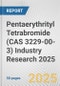 Pentaerythrityl Tetrabromide (CAS 3229-00-3) Industry Research 2025: Global and Regional Market Trends 2019-2024 and Forecast to 2029 - Product Image
