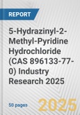 5-Hydrazinyl-2-Methyl-Pyridine Hydrochloride (CAS 896133-77-0) Industry Research 2025: Global and Regional Market Trends 2019-2024 and Forecast to 2029- Product Image