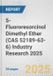 5-Fluororesorcinol Dimethyl Ether (CAS 52189-63-6) Industry Research 2025: Global and Regional Market Trends 2019-2024 and Forecast to 2029 - Product Thumbnail Image