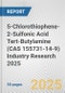 5-Chlorothiophene-2-Sulfonic Acid Tert-Butylamine (CAS 155731-14-9) Industry Research 2025: Global and Regional Market Trends 2019-2024 and Forecast to 2029 - Product Thumbnail Image