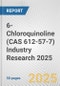 6-Chloroquinoline (CAS 612-57-7) Industry Research 2025: Global and Regional Market Trends 2019-2024 and Forecast to 2029 - Product Image